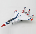 TF-15 Eagle 1976年範堡羅國際航空展,美國200週年建國紀念塗裝