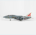 Grumman F-14A Tomcat 162698, VF-14 Tophatters, 80th Anniversary, 1999