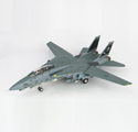 Grumman F-14D Super Tomcat 164601, VF-31 CAG, 「Operation Iraqi Freedom」 Grumman F-14D Super Tomcat 164601, VF-31 CAG, 「Operation Iraqi Freedom」