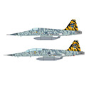 國軍F-5E/F虎斑彩繪雙機組 國軍F-5E/F虎斑彩繪雙機組