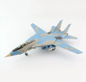 F-14A Tomcat 3-6041, IRIAF, TFB 8 Khatami, 2003 F-14A Tomcat 3-6041, IRIAF, TFB 8 Khatami, 2003