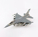 F-16CG Block 40 「OIF」 89-2035, 555th FS Commander, 2003/2004