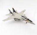 Grumman F-14A Tomcat 162692, VF-84 「Jolly Rogers」 August 1991 Post Operation Desert S